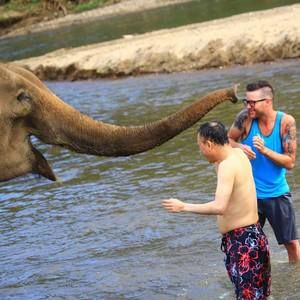 Meet your Posher, Coman